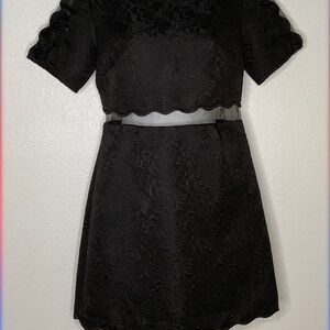 Scalloped Organza Dress Mustard Seed Black Party Dress Size S